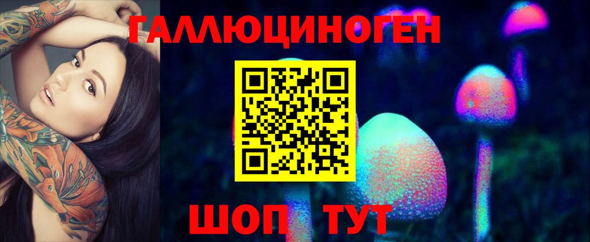Чита  Галлюциногенные грибы Psilocybine cubensis  Вход с VPN  купить закладку  Псилоцибиновые грибы Psilocybe 